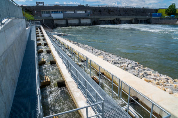 istock fish ladder for migration and spawning at river 1371989983