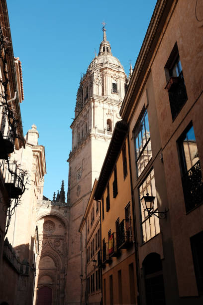 istock Old Cathedral in Salamanca, Spain 1371991775