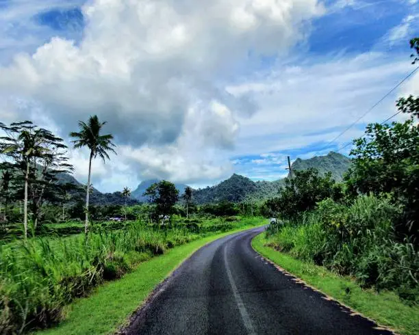 Scenic natural background two-lane byway lush tropical foliage on  South Pacific island. Upolu Island, Samoa.