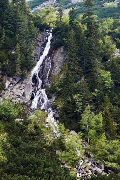 istock Mountain waterfall  in the Tatra Mountains 1371992095