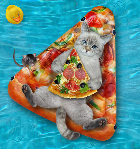 An ashen cat with a slice of pizza is lying on an inflatable pizza in a swimming pool at the resort.