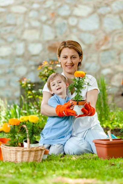 istock Mother and son gardening together 1371994412