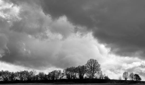 istock Distant row of trees with a dramatic overcast sky and storm clouds. 1371994480