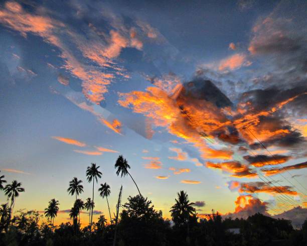 gorgeous tropical sunset cloudscape backlit coconut palm trees natural background - stock photo - 7585 imagens e fotografias de stock