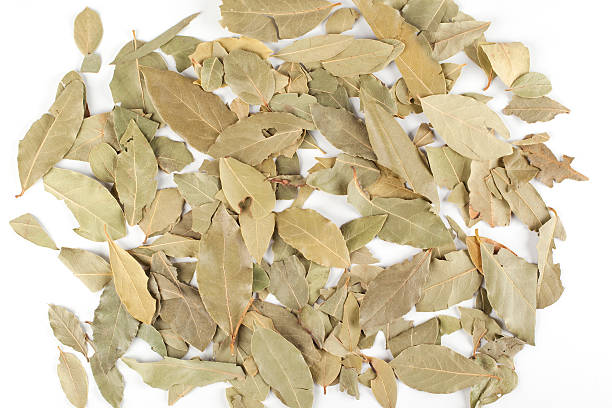 Dried bay leaves stock photo