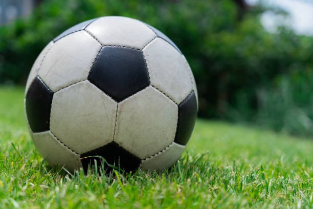istock Classic soccer ball on green lawn grass 1372000826