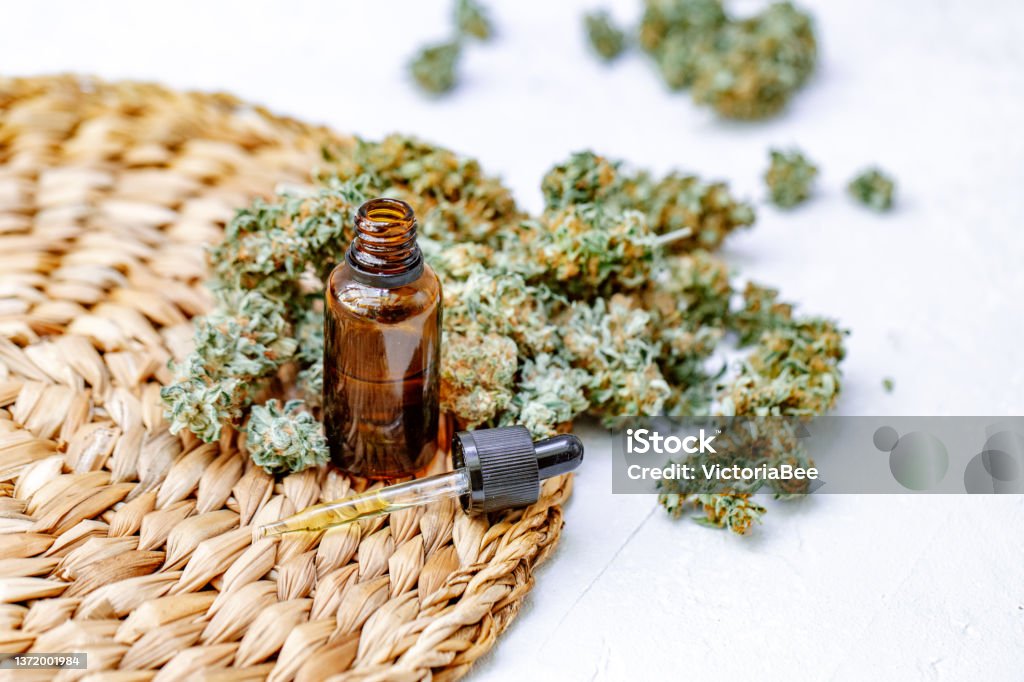 Cannabis buds in hand on yellow background Background for Copy space. Blunt and Lighters. Herb grinder Fresh marihuana. CBD and THC on buds in cannabis. Hemp legalisation. Close up. Addiction Stock Photo
