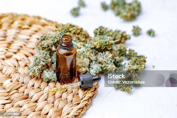 Cannabis Buds In Hand On Yellow Background Background For Copy Space Blunt And Lighters Herb Grinder Fresh Marihuana Cbd And Thc On Buds In Cannabis Hemp Legalisation Close Up Stock Photo - Download Image Now