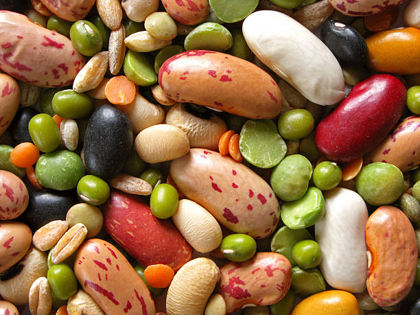 Various type of legumes in pile stock photo