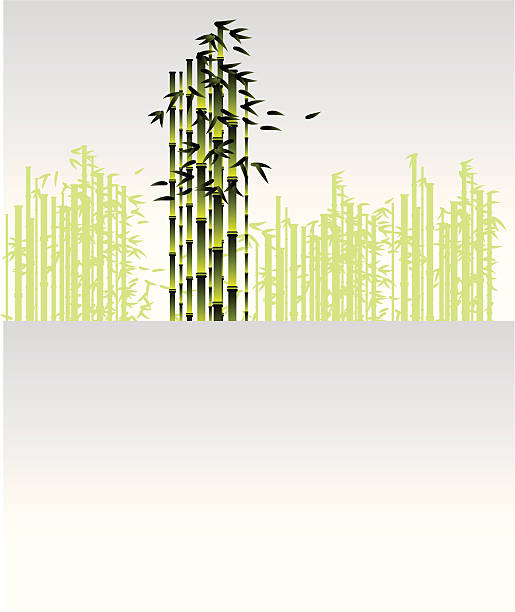 bamboo forest 003 vector art illustration