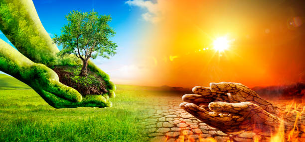istock Drought Environment - Climate Change And Global Warming Concept - Green Hands Give Tree To Dry Soil On Crack Land 1372005025