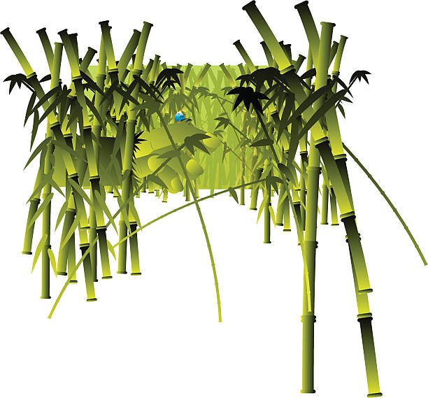 bamboo forest 002 vector art illustration