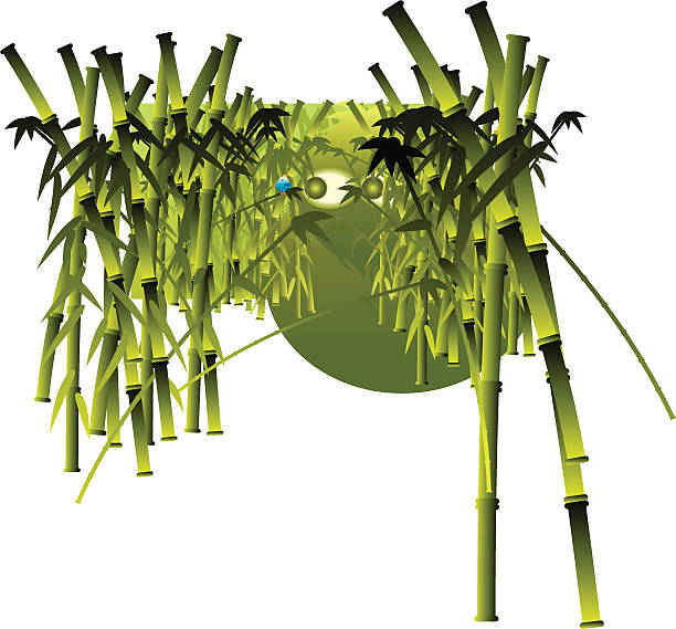 bamboo forest 001 vector art illustration