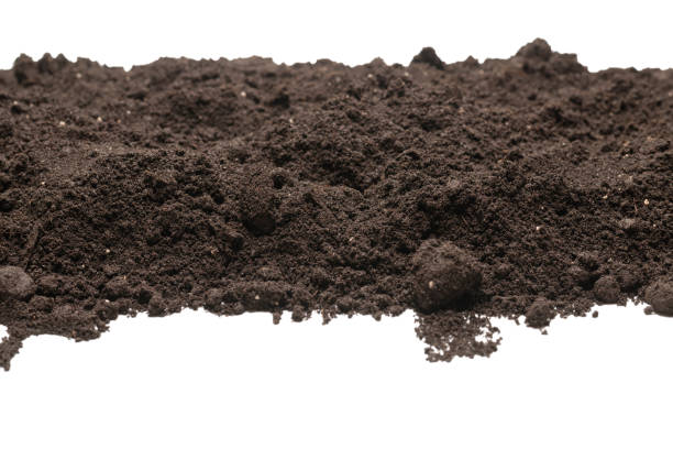 istock Black land for plant isolated on white background. 1372010034