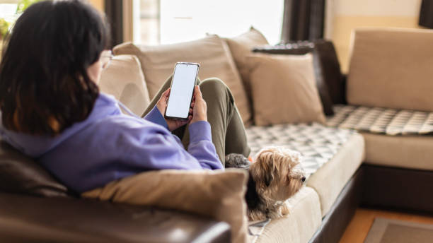 istock Phone Interactions At Home And On The Go 1372010135