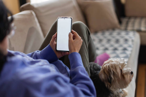 istock Phone Interactions At Home And On The Go 1372010287