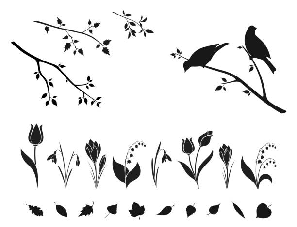spring nature design element set. flowers, tree leaves and birds on branch vector art illustration