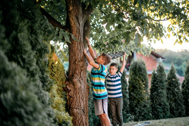 Boys fixing dartboard on the tree