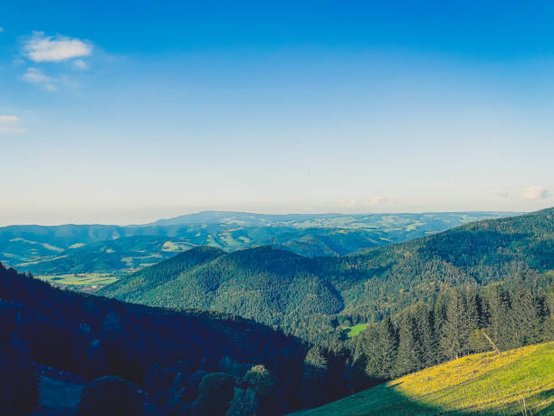 View of the valley in the Black Forest in Germany.