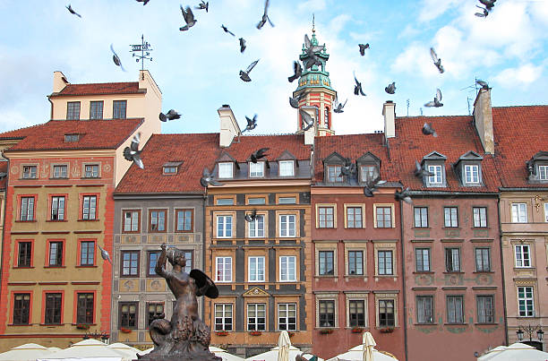 Pigeons fluttering over the Warsaw Old Town. Poland