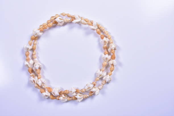 Polynesian Seashell necklace boarder frame in round shape to add your text or image.  Copy space to left or within the circular frame border.