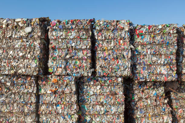 istock Domestic Waste Ready to be Recycled 1372032223