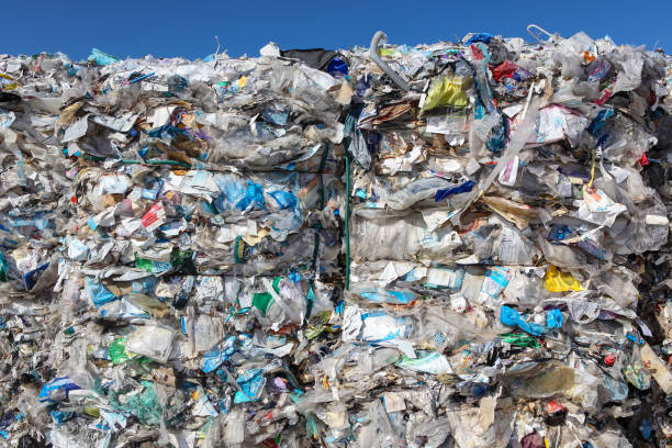 istock Domestic Waste Ready to be Recycled 1372032226