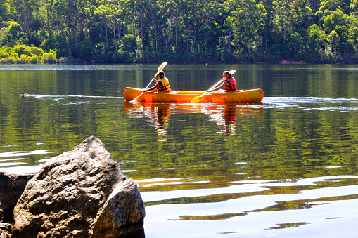 Pemberton, Wa - Feb 14 2022:Two young Australian women rowing together a canoe on a lake in Western Australia.  Pemberton town is a major tourist attraction in south Western Australia.