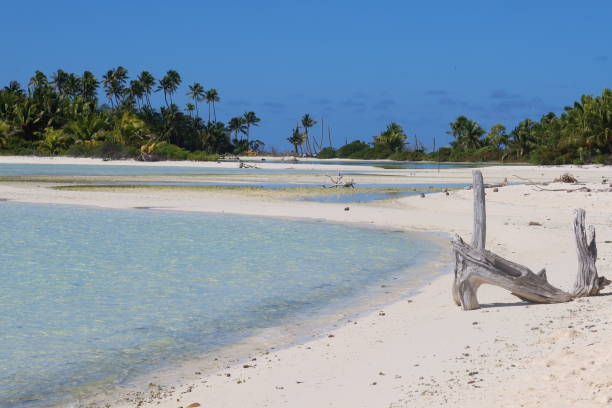 istock Tetiaroa Blue lagoon from French Polynesia 1372034459