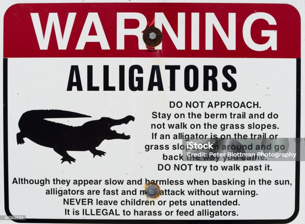 Warning sign to protect visitors of the local fauna in Florida Warning sign to protect visitors of the local fauna in Florida. Signs warning visitors of the hazards from reptiles and insects as well as messaging of how to avoid the hazards. Signs at the entrance to the Viera wetlands in Florida. Alligator Stock Photo