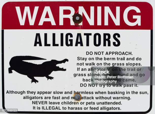 Warning Sign To Protect Visitors Of The Local Fauna In Florida Stock Photo - Download Image Now