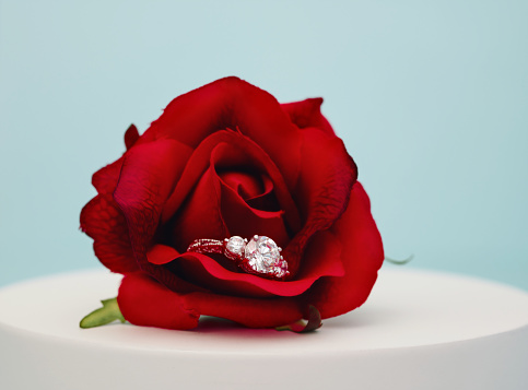 Red rose with silver diamond encrusted ring in a bright airy setting. Engagement ring with rose