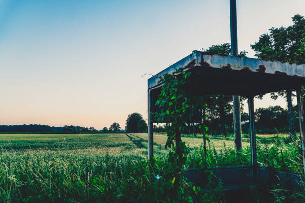 An old and abandoned bus stop.