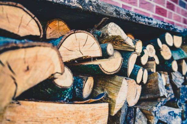 A stack of firewood for the fireplace.
