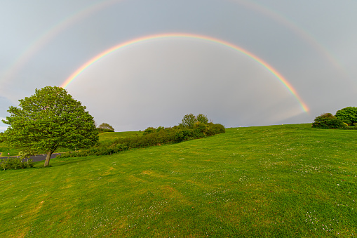 May, 1, 2017, England
After the rain on a day on May, the rainbow showed quite vividly over a tree and a lush green field.