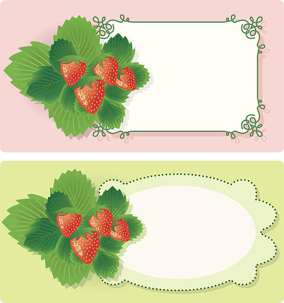 Fresh Strawberry-Labels. vector art illustration