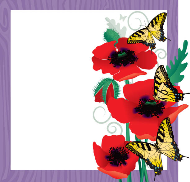 Poppies and Yellow Swallowtail Butterflies vector art illustration