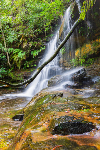 istock Waterfalls and national park 1372046471