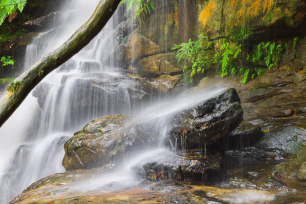 istock Waterfalls and national park 1372046544