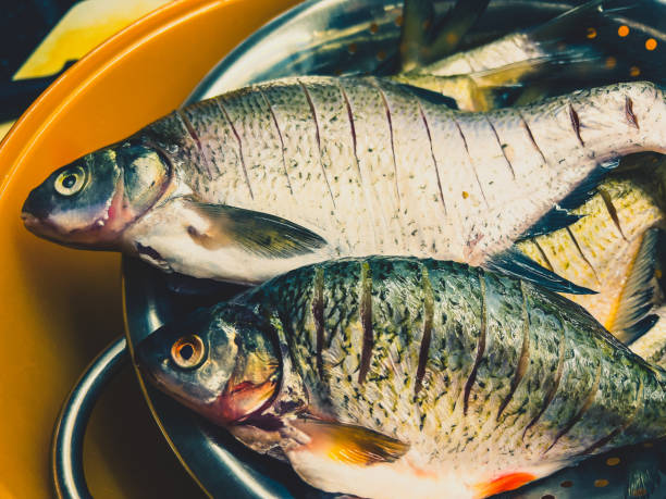 pesce fresco in una ciotola. - prepared fish foto e immagini stock