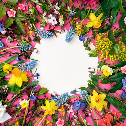 Creative layout made of colorful Spring flowers with white empty frame