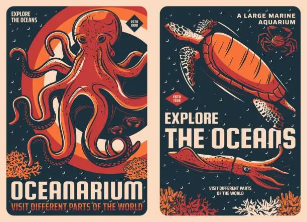 Vector illustration of Octopus, squid, sea turtle and crab retro posters