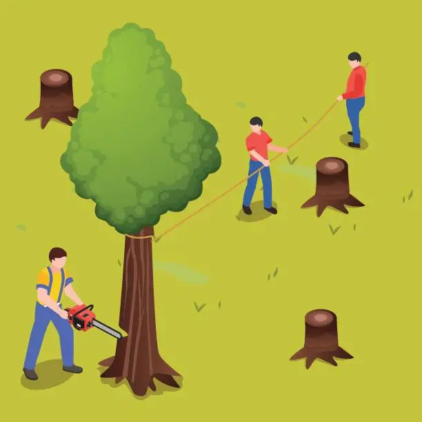 Vector illustration of Workers cutting tree isometric 3d