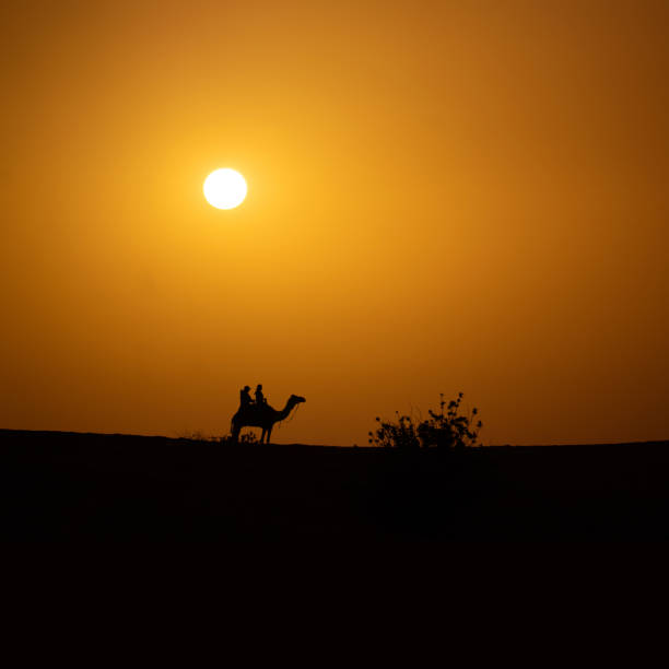 istock Tourist and camel silhouettes in Dubai 1372055820