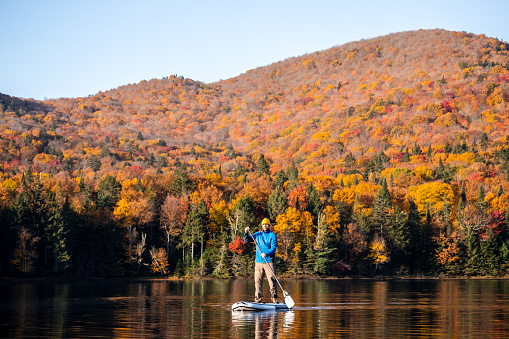 A man is stand-up paddleboarding on Lac Monroe Lake in Mont Tremblant National Park, Quebec, Canada. It is a beautiful sunny Autumn day. The mountain is colorful with yellow, red and orange autumn leaves. The man is wearing warm clothing because it is colder in October. He is enjoying the moment and grateful.