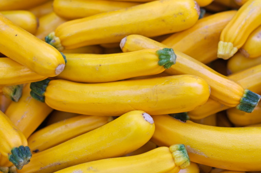 Yellow summer squash at the farmer's market.  More Farmer's Market Images 