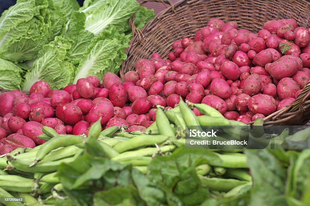 Mercato di prodotti agricoli produrre - Foto stock royalty-free di Bok choi