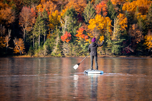 Woman Paddleboarding on the Lake in Autumn, Mont Tremblant National Park, Quebec, Canada