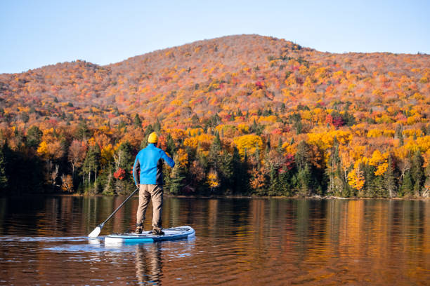 mann paddleboarding auf dem see im herbst, mont tremblant nationalpark, quebec, kanada - laurentian moutains stock-fotos und bilder