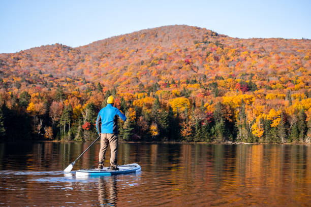 man paddleboarding en el lago en otoño, parque nacional mont tremblant, quebec, canadá - laurentian moutains fotografías e imágenes de stock